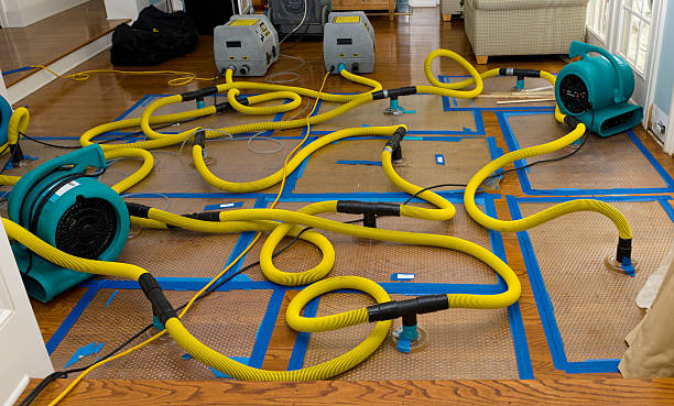 Professional Water Damage Repair technician working in Wittenberg, WI